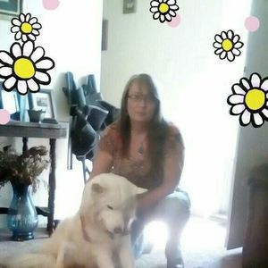 Meet your Posher, Leslie an joann